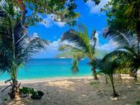 TheGrenadinesCollection