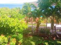 TheGrenadinesCollection