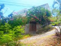 TheGrenadinesCollection