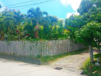 TheGrenadinesCollection