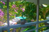 TheGrenadinesCollection