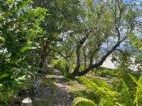 TheGrenadinesCollection