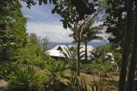 TheGrenadinesCollection