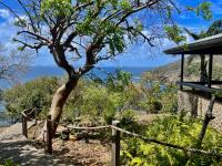 TheGrenadinesCollection