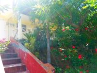 TheGrenadinesCollection