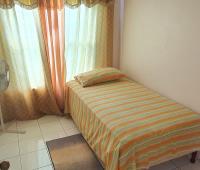 TheGrenadinesCollection