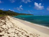 TheGrenadinesCollection