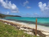 TheGrenadinesCollection