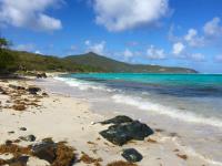 TheGrenadinesCollection