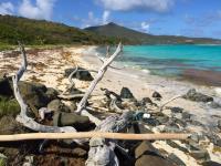 TheGrenadinesCollection