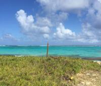 TheGrenadinesCollection