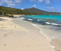 TheGrenadinesCollection