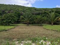 TheGrenadinesCollection