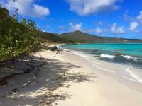 TheGrenadinesCollection