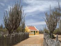 TheGrenadinesCollection