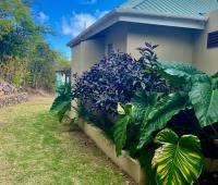 TheGrenadinesCollection