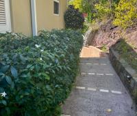 TheGrenadinesCollection