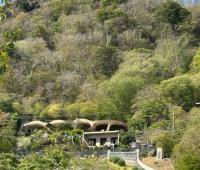 TheGrenadinesCollection