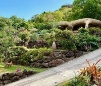 TheGrenadinesCollection