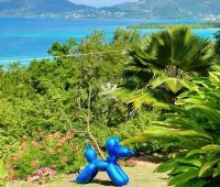 TheGrenadinesCollection