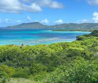 TheGrenadinesCollection