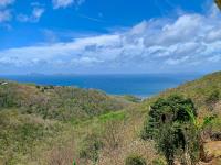 TheGrenadinesCollection