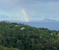 TheGrenadinesCollection