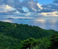 TheGrenadinesCollection