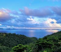 TheGrenadinesCollection