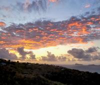 TheGrenadinesCollection