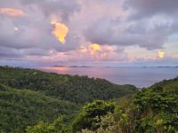 TheGrenadinesCollection