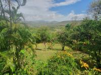 TheGrenadinesCollection