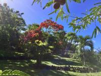 TheGrenadinesCollection