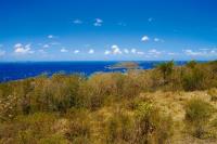 TheGrenadinesCollection