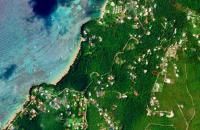 TheGrenadinesCollection