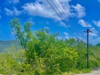 TheGrenadinesCollection