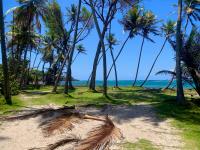 TheGrenadinesCollection