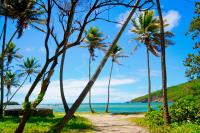 TheGrenadinesCollection