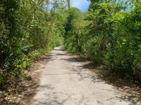 TheGrenadinesCollection