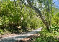 TheGrenadinesCollection