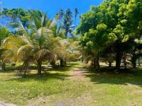 TheGrenadinesCollection