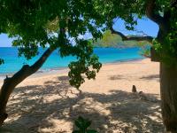 TheGrenadinesCollection