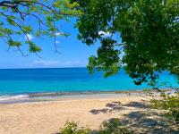 TheGrenadinesCollection