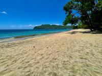 TheGrenadinesCollection