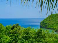 TheGrenadinesCollection