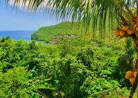 TheGrenadinesCollection