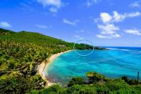 TheGrenadinesCollection