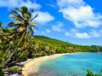 TheGrenadinesCollection