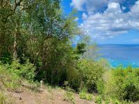 TheGrenadinesCollection