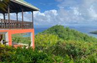 TheGrenadinesCollection